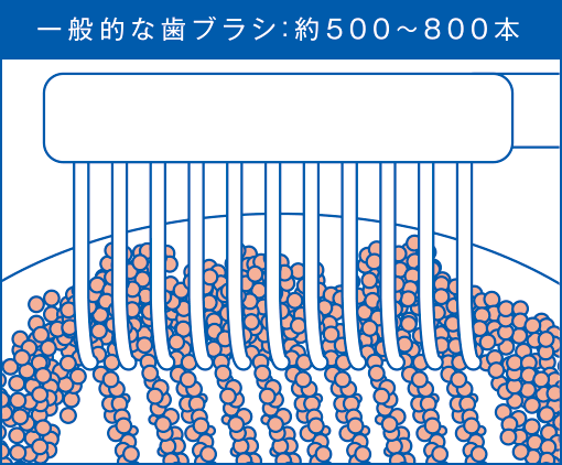 一般的な歯ブラシ：約500〜800本