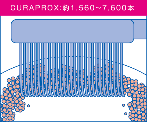 CURAPROX：約1,560〜7,600本