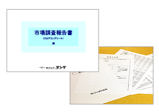 市場調査報告書